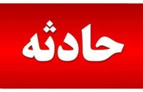 مهار آتش‌سوزی در ایکی قاپیلار با اقدام به موقع آتش‌نشانان