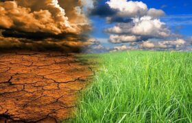 آذربایجان‌شرقی در نقطه حساس اقلیمی؛ ضرورت بازطراحی الگوی کشت