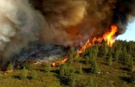 آتش‌سوزی در منطقه حفاظت‌شده دیزمار