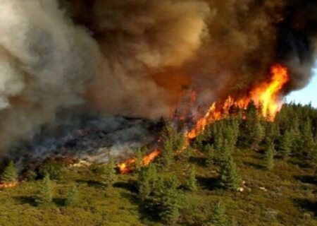 آتش‌سوزی در منطقه حفاظت‌شده دیزمار