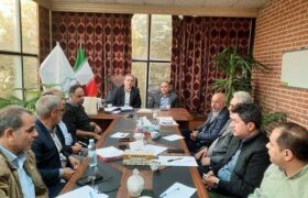 ایمن‌ سازی گسترده پاساژها، توسعه فضای سبز و احیای باغ گلستان