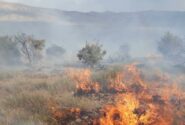 آتش‌ سوزی در مراتع جنگلی روستای نمنق جلفا
