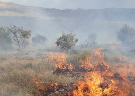 آتش‌ سوزی در مراتع جنگلی روستای نمنق جلفا
