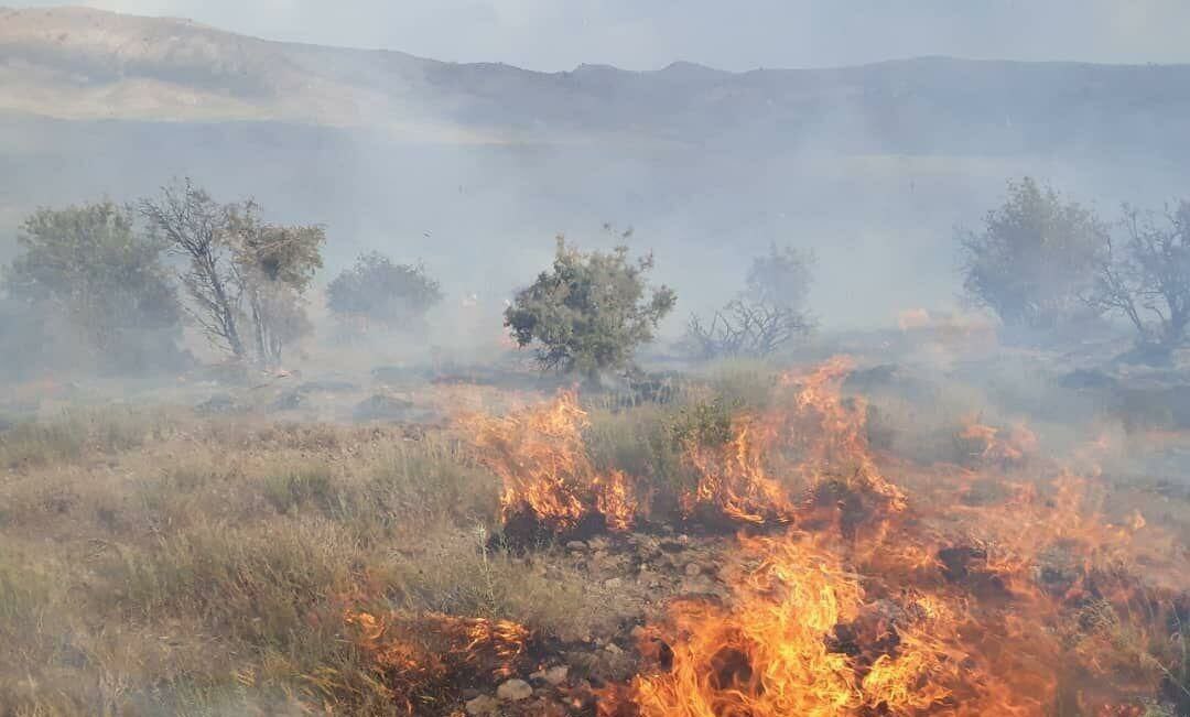 آتش‌ سوزی در مراتع جنگلی روستای نمنق جلفا