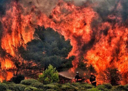 جنایتی علیه طبیعت آذربایجان