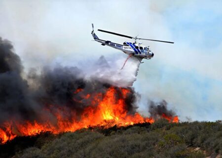 ورود به جنگل‌های قره‌داغ تا اطلاع بعدی ممنوع شد