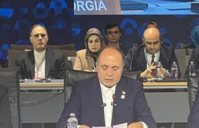 تأکید وزیر جهادکشاورزی بر همکاری جهانی برای امنیت غذایی