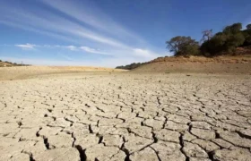 ۱۴۰۴ کم بارش‌ ترین سال نیم قرن گذشته/ اسامی استان‌ هایی که بیشترین و کمترین خشکسالی را تجربه کرده‌اند