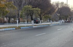 اندود تنه درختان در راستای مبارزه با آفات، بیماری‌های قارچی و فیزیولوژیک