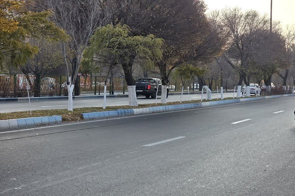 اندود تنه درختان در راستای مبارزه با آفات، بیماری‌های قارچی و فیزیولوژیک