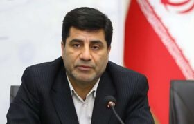 ثبات در بازار نهاده های دامی نیازمند رویکردی برنامه محور است