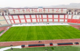 بازگشت سبزی به رنگ چمن یادگار/قارچ‌ها از بین رفت و چمن درحال ترمیم است