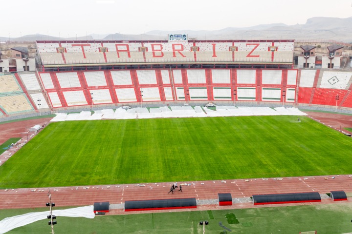 بازگشت سبزی به رنگ چمن یادگار/قارچ‌ها از بین رفت و چمن درحال ترمیم است