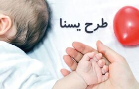 مرحله دوم طرح یسنا شب یلدا واریز می‌شود