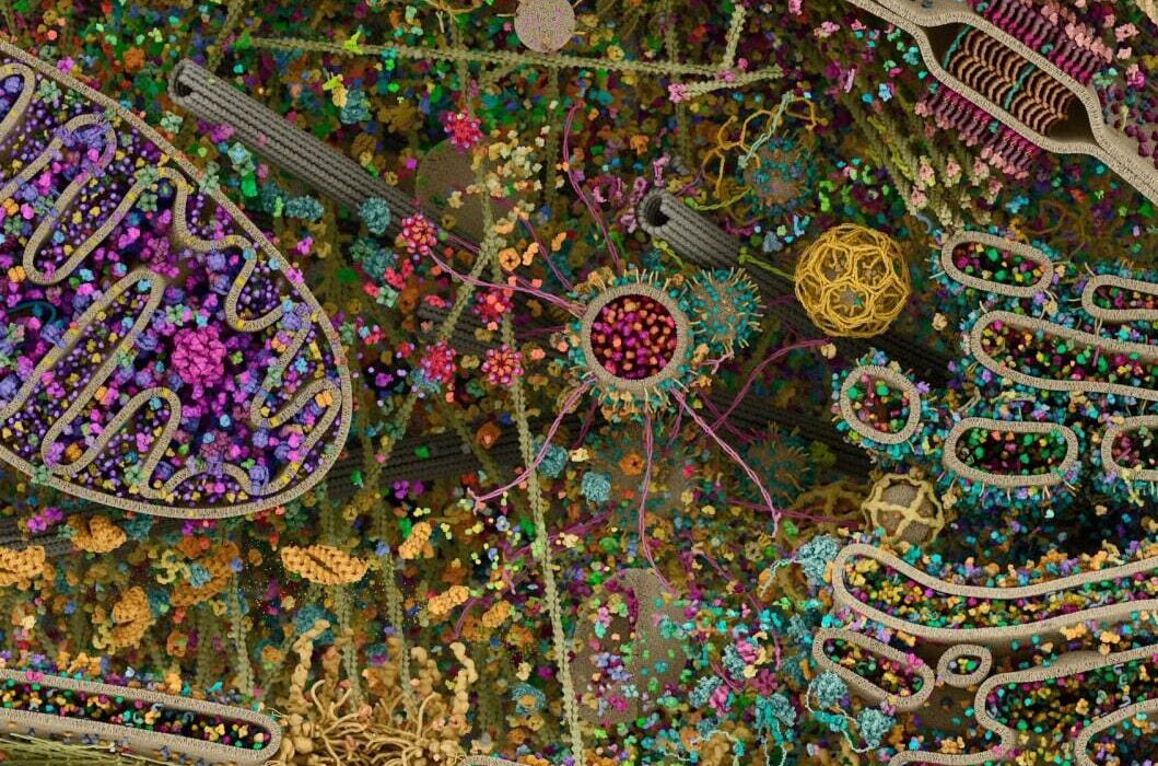 عکسی واقعی و خیره‌کننده از داخل یک سلول زنده انسانی!