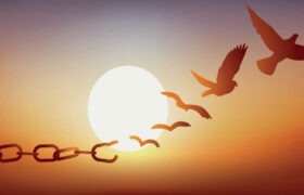 نذر بانوی تبریزی مقیم فرانسه به آزادی زندانیان مالی انجامید