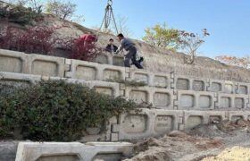 باکس‌گذاری در اتوبان کسایی برای زیبایی و پایداری فضای سبز