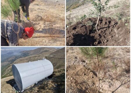 احیای جنگلهای قره‌داغ محور راهبردی محیط‌زیست سونگون است