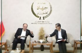 مجوز واردات نهاده دامی و طرح تهاتر شیر در آذربایجان شرقی