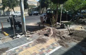 تکمیل پنجمین پیاده‌راه سلامت منطقه۳ در محلات مارالان