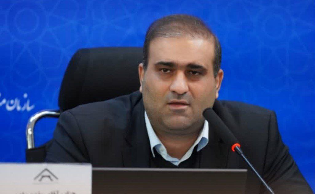 اجرای ناقص قوانین، مهمترین علت مشکلات واحدهای تولیدی ارس