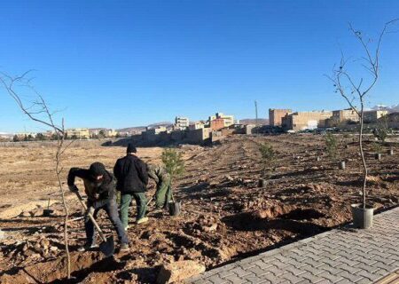 تداوم غرس نهال در پارک ستارخان