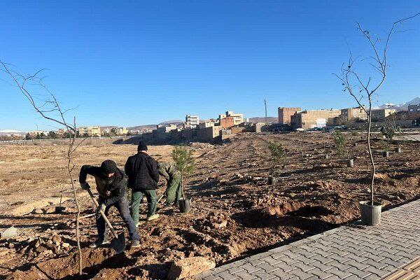 تداوم غرس نهال در پارک ستارخان