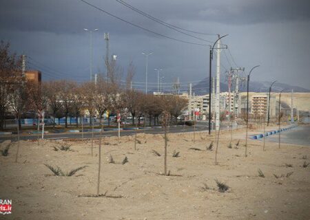 کاشت ۵هزار مترمربع فضای سبز در محوطه ساختمان معاونت فنی و عمرانی