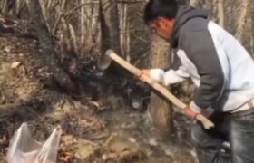 ادامه مسیر سبز آتیلا در آذربایجان