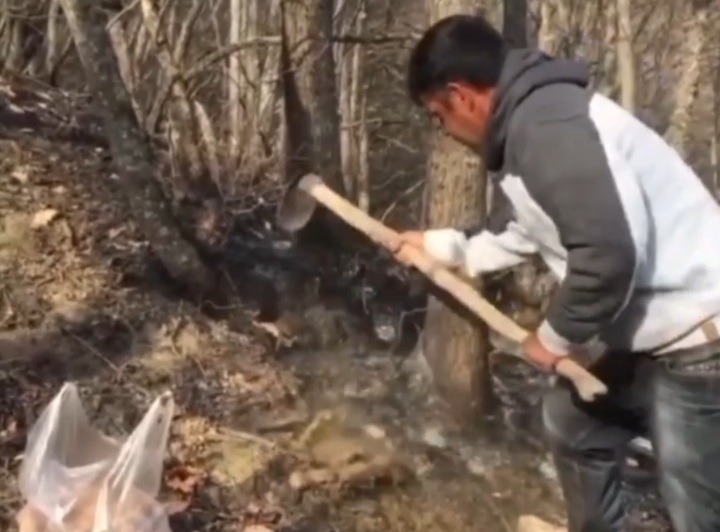 ادامه مسیر سبز آتیلا در آذربایجان