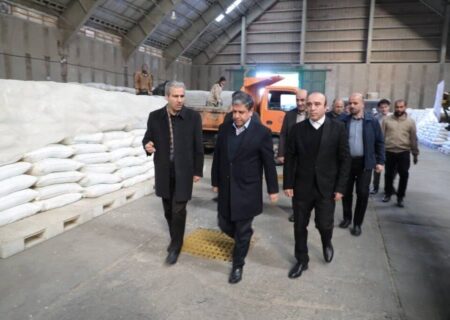 واردات کالاهای اساسی به استان اردبیل تسهیل شد