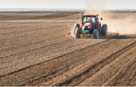 اجرای طرح پایداری تولید در ۴۱۰ هزار هکتار از اراضی کشاورزی آذربایجان شرقی