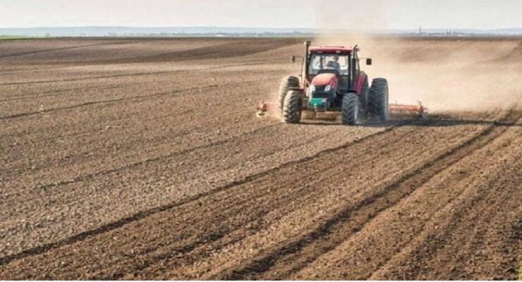 اجرای طرح پایداری تولید در ۴۱۰ هزار هکتار از اراضی کشاورزی آذربایجان شرقی