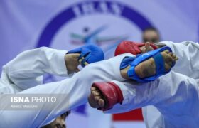 جانشین هادی ساعی در فدراسیون تکواندو مشخص شد