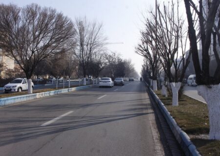 احداث نخستین خیابان گل در تبریز/ جاده ائل‌گلی به مسیر گردشگری تبریز تبدیل می‌شود