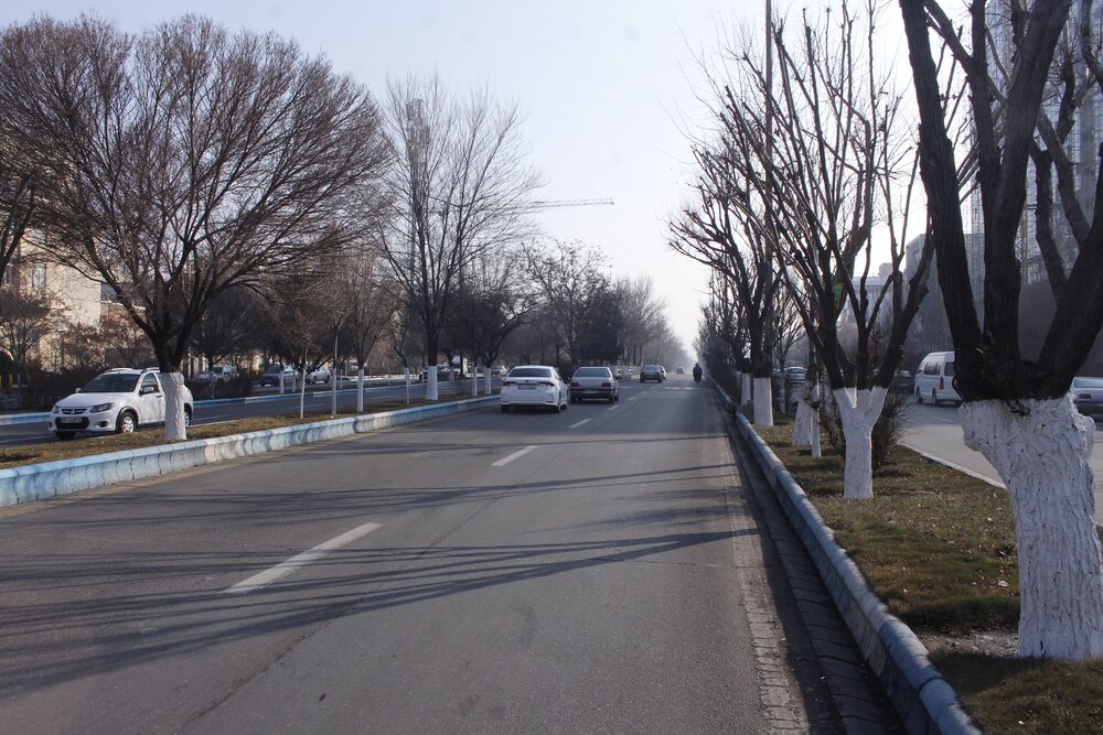 احداث نخستین خیابان گل در تبریز/ جاده ائل‌گلی به مسیر گردشگری تبریز تبدیل می‌شود