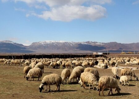 دشت یکانات مرند؛ از تنش آبی مزمن تا الگوی مدیریت پایدار آب