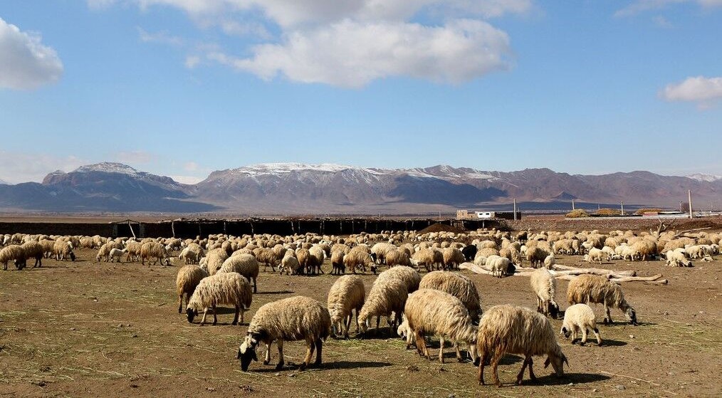 دشت یکانات مرند؛ از تنش آبی مزمن تا الگوی مدیریت پایدار آب