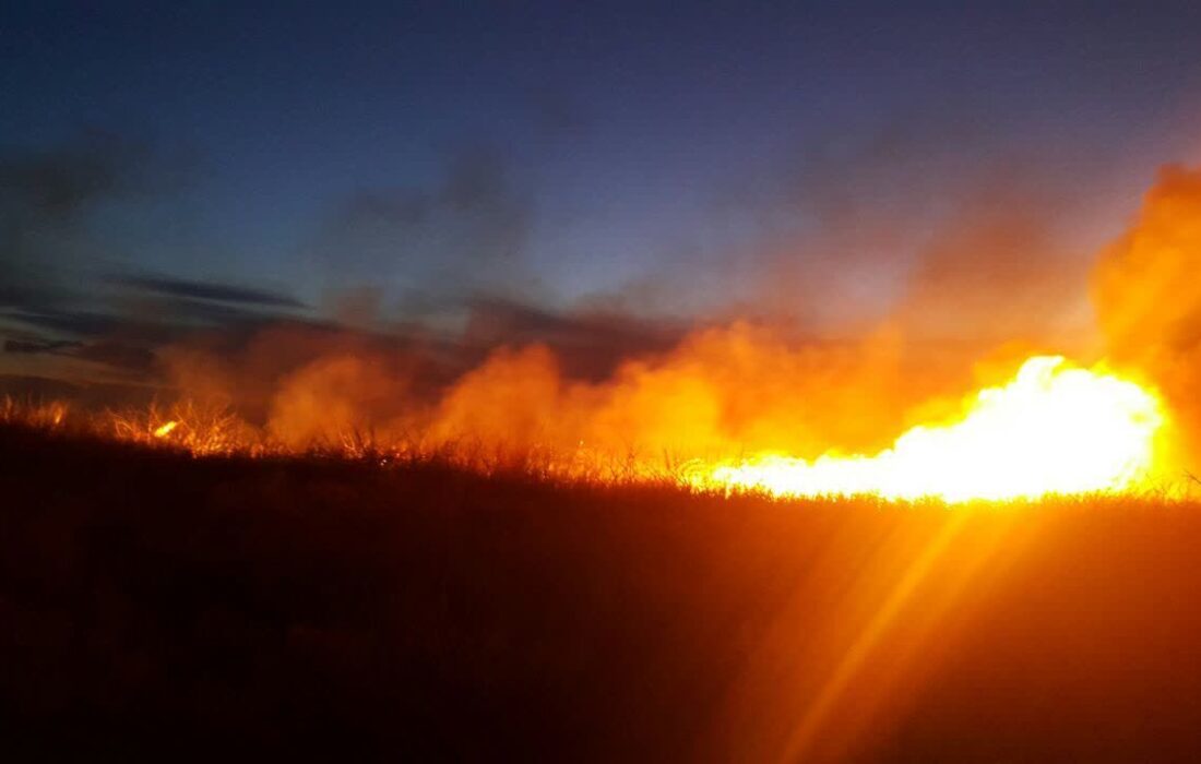 آتش سوزی در تالاب قره قشلاق بناب مهار شد