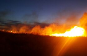 آتش سوزی در تالاب قره قشلاق بناب مهار شد