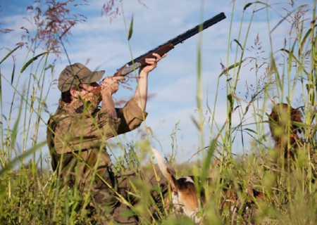 رأی کم‌سابقه دادگاه برای ۳ شکارچی