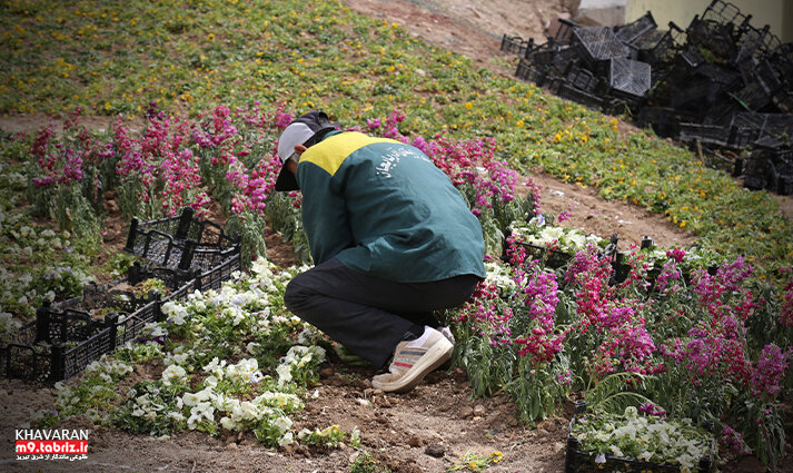 گلکاری ۶ هزار متر مربع فضای سبز برای استقبال از نوروز