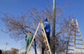 آماده سازی غرب تبریز برای استقبال از بهار