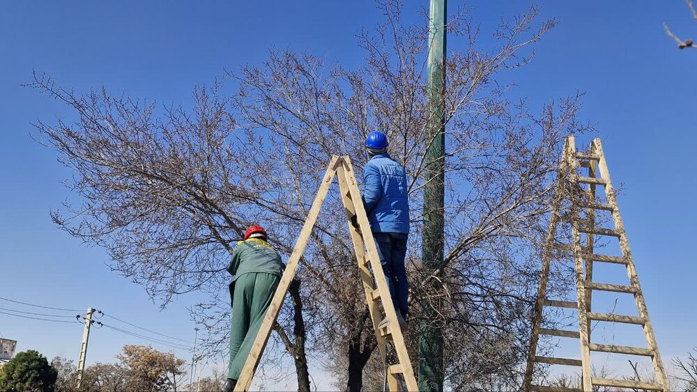 آماده سازی غرب تبریز برای استقبال از بهار