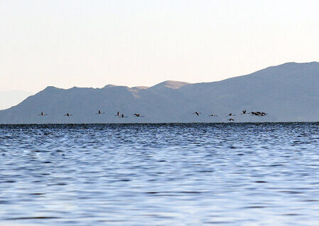 وسعت دریاچه اورمیه ۳۸۹ کیلومتر مربع افزایش یافت