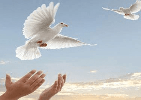 آزادی ۵۰۶ زندانی غیرعمد در آذربایجان‌شرقی با کمک خیرین