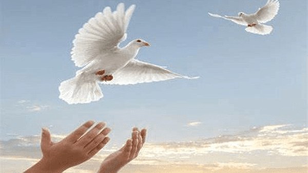 آزادی ۵۰۶ زندانی غیرعمد در آذربایجان‌شرقی با کمک خیرین