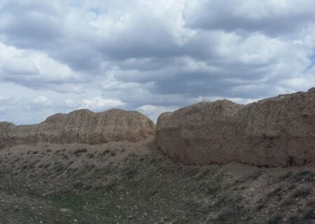 شیور و کلهر قربانی سهل‌انگاری اداری؟!