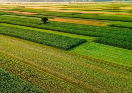 نوسانات دمایی؛ زنگ خطر جدی برای کشاورزی آذربایجان شرقی