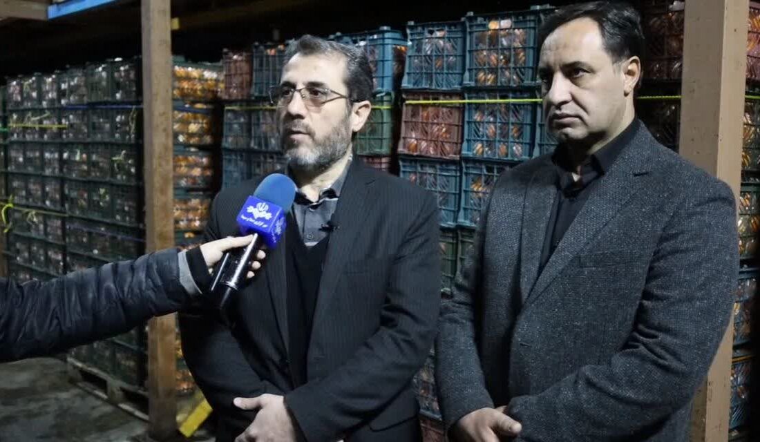 آغاز توزیع میوه ایام پایانی سال از ۲۳ اسفند ماه در آذربایجان شرقی